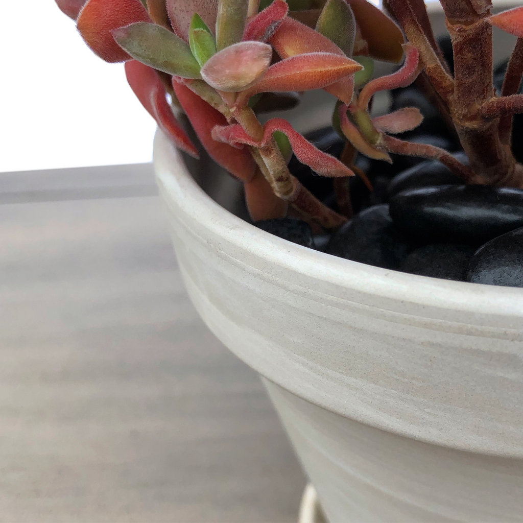 4" Clay Pot, Cream Marble Cedar Creek Farmhouse