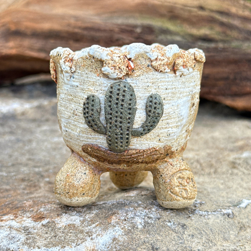 Jurian Handcrafted Pot- Mini Cactus