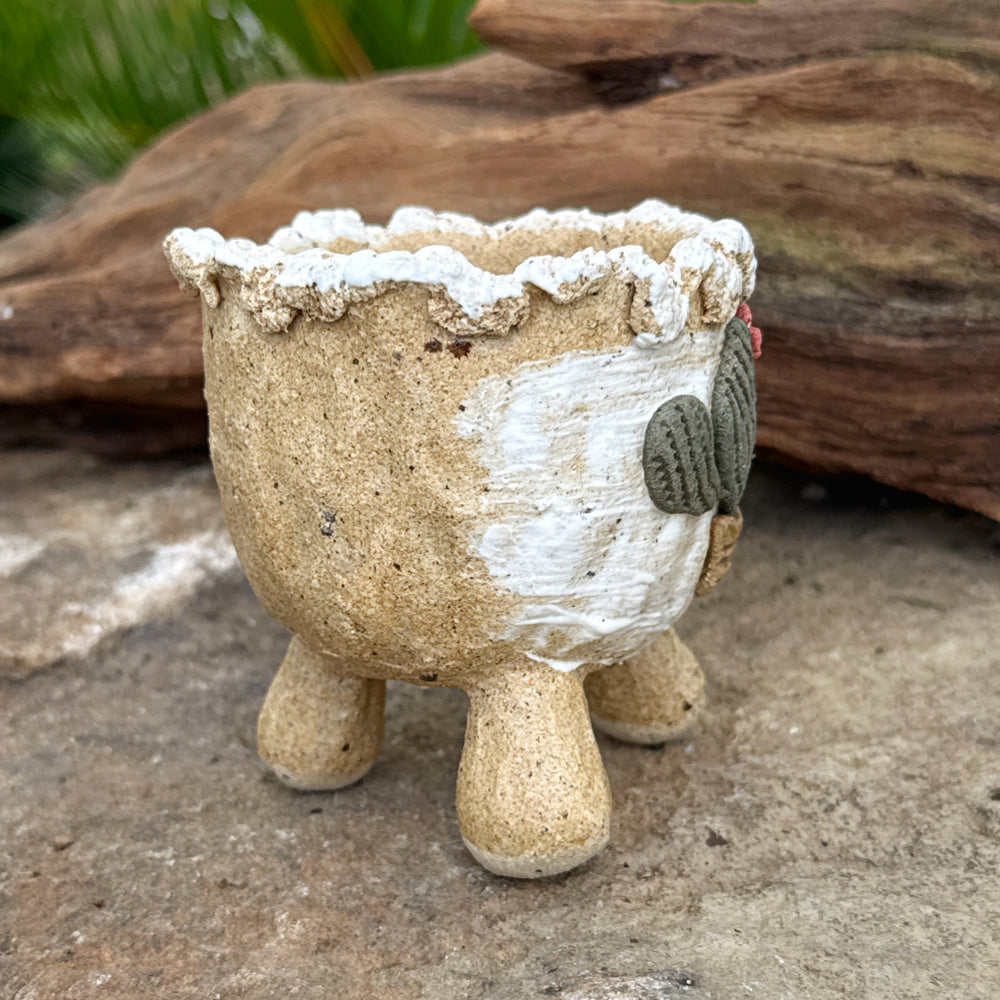 Jurian Handcrafted Pot- Classic Cacti
