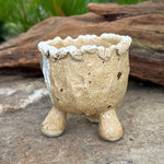 Jurian Handcrafted Pot- Classic Cacti