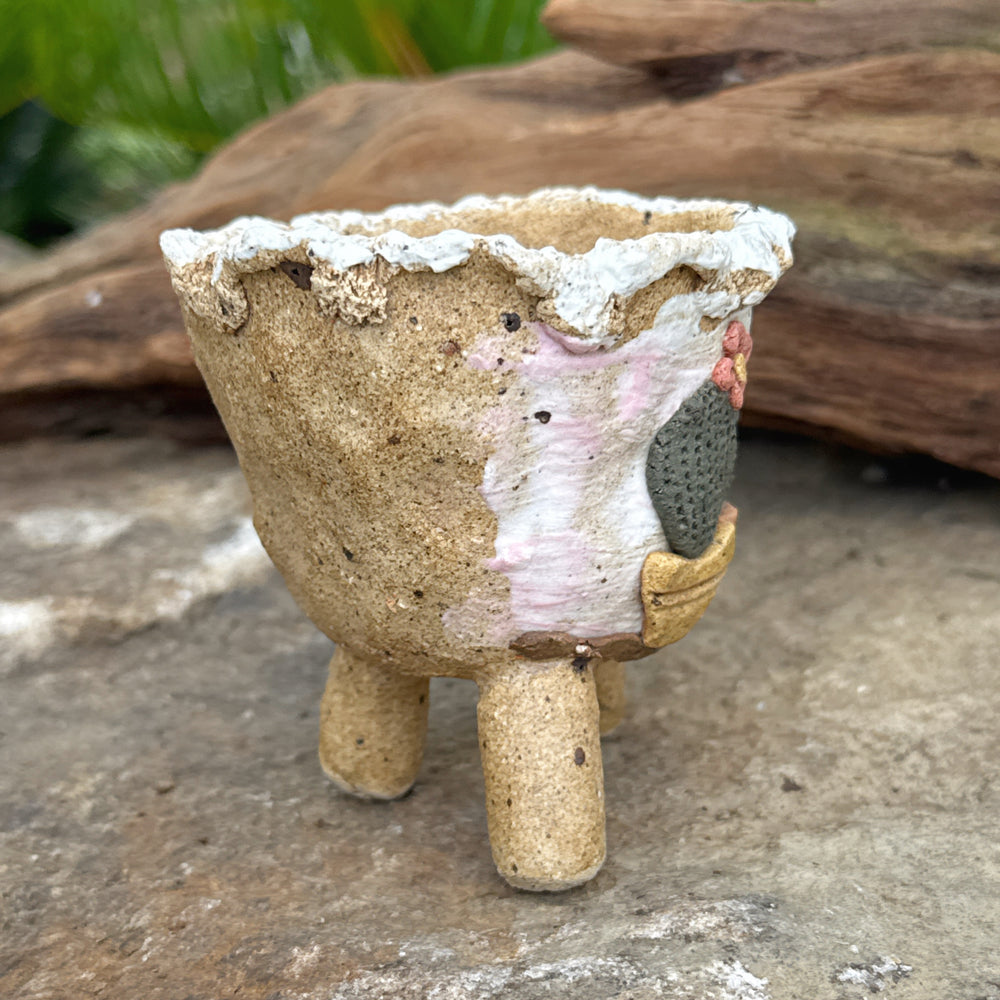 Jurian Handcrafted Pot- Pair of Cacti