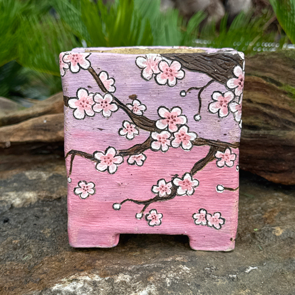 Jurian Handcrafted Pot- Square Butterfly