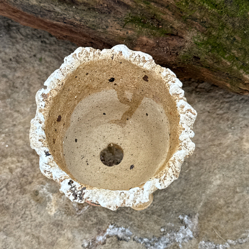 Jurian Handcrafted Pot- Pair of Cacti