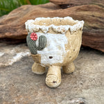 Jurian Handcrafted Pot- Classic Cacti