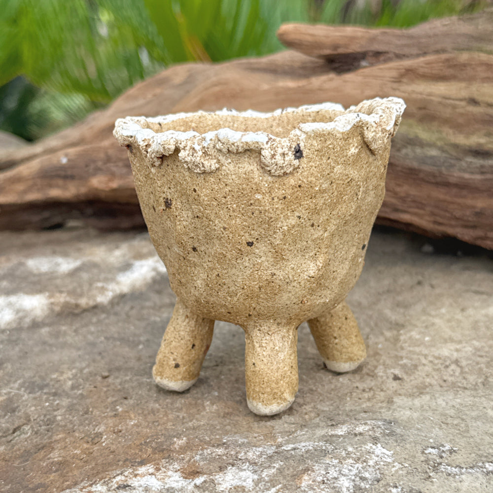 Jurian Handcrafted Pot- Pair of Cacti