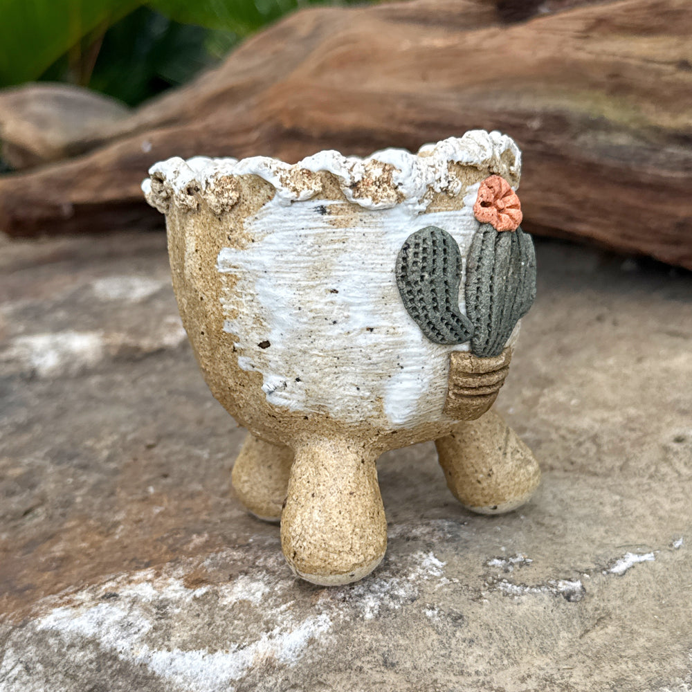Jurian Handcrafted Pot- Classic Cactus