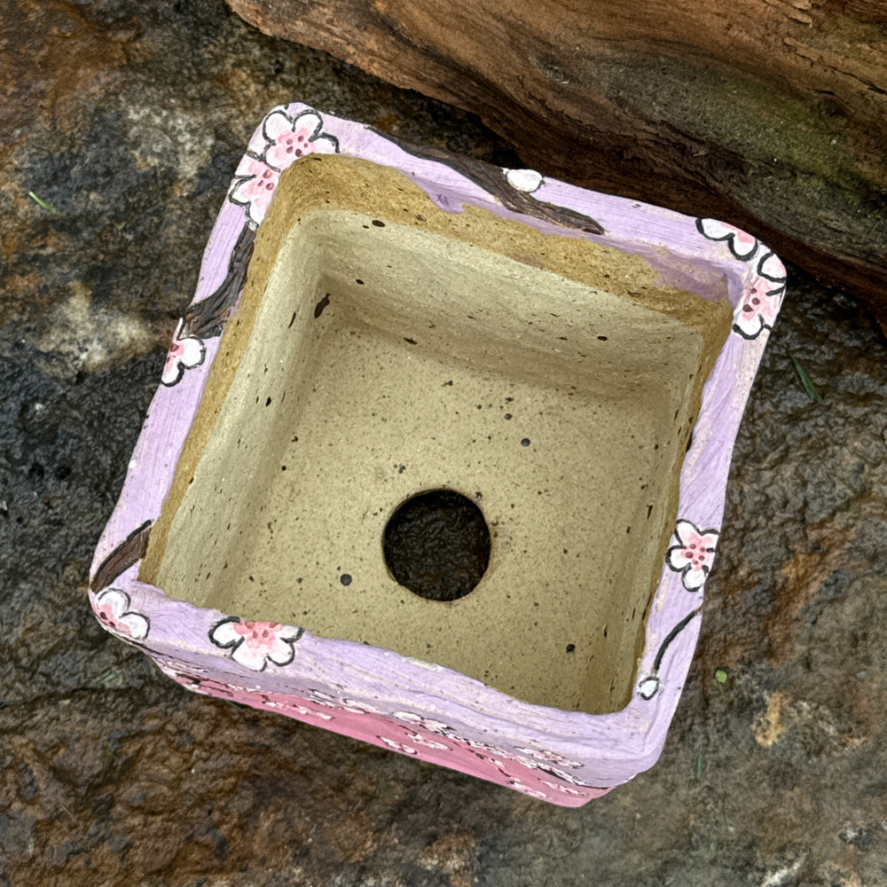 Jurian Handcrafted Pot- Square Butterfly