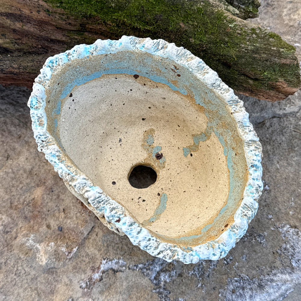 Jurian Handcrafted Pot- Neutral Cacti