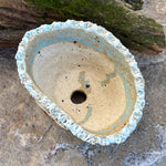 Jurian Handcrafted Pot- Neutral Cacti