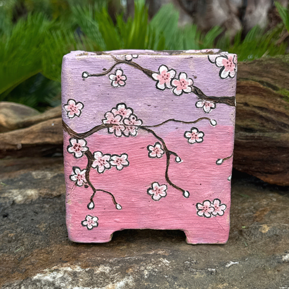 Jurian Handcrafted Pot- Square Butterfly