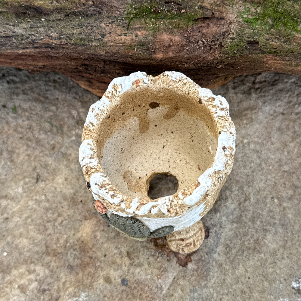 Jurian Handcrafted Pot- Mini Cactus