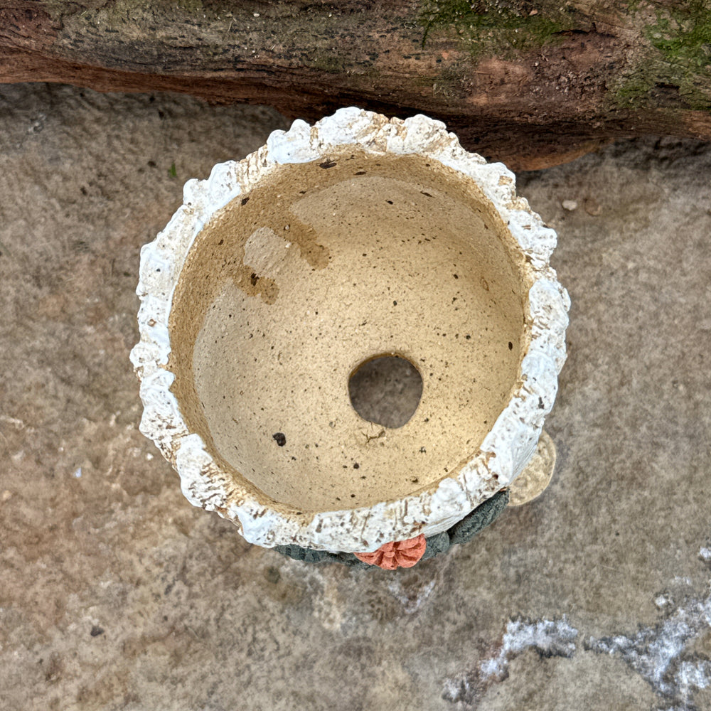 Jurian Handcrafted Pot- Classic Cactus