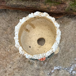 Jurian Handcrafted Pot- Classic Cactus