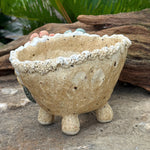 Jurian Handcrafted Pot- Trio of Flowers on Ivory