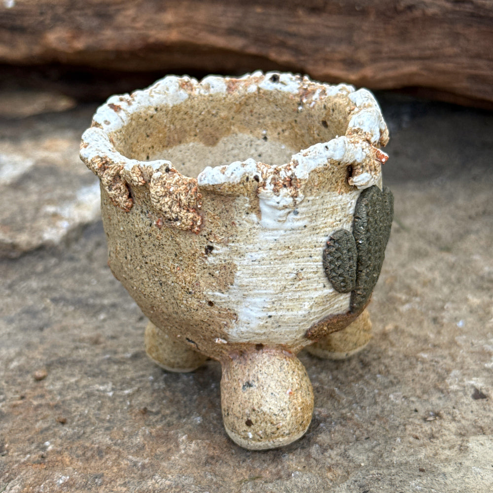 Jurian Handcrafted Pot- Mini Cactus