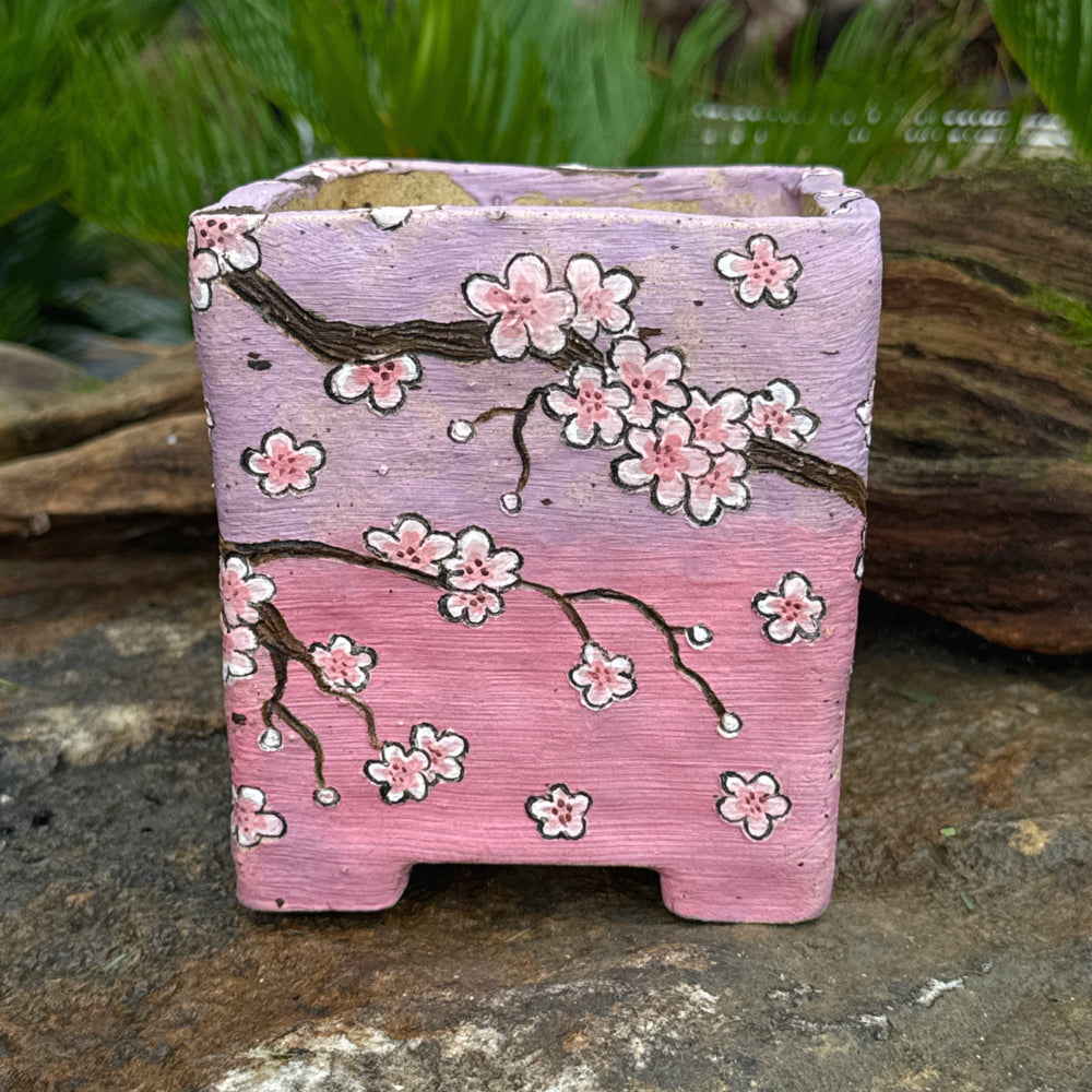 Jurian Handcrafted Pot- Square Butterfly