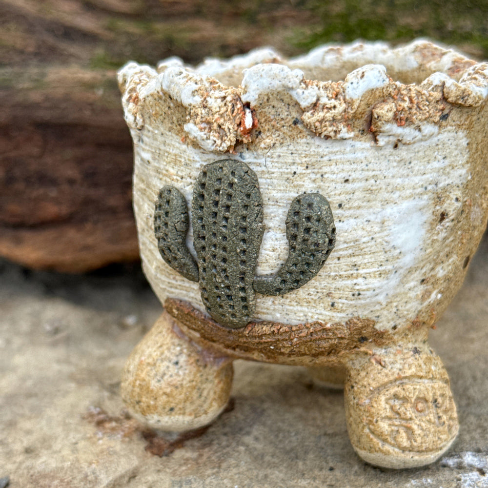 Jurian Handcrafted Pot- Mini Cactus