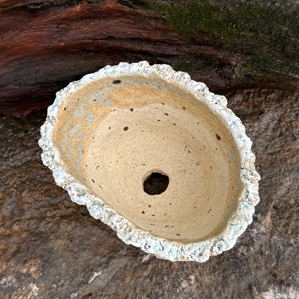 Jurian Handcrafted Pot- Neutral Cacti