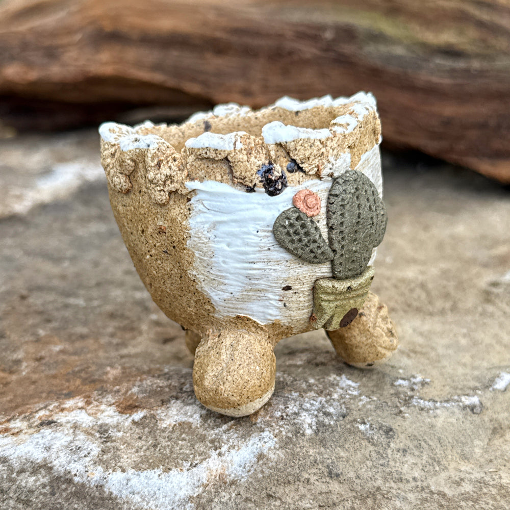 Jurian Handcrafted Pot- Mini Cactus