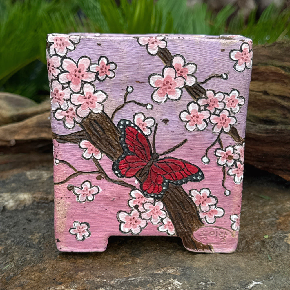 Jurian Handcrafted Pot- Square Butterfly