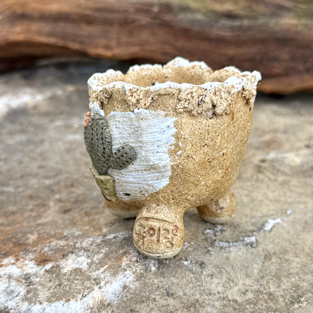 Jurian Handcrafted Pot- Mini Cactus