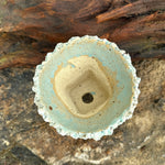 Jurian Handcrafted Pot- Sky Blue Classic Taper