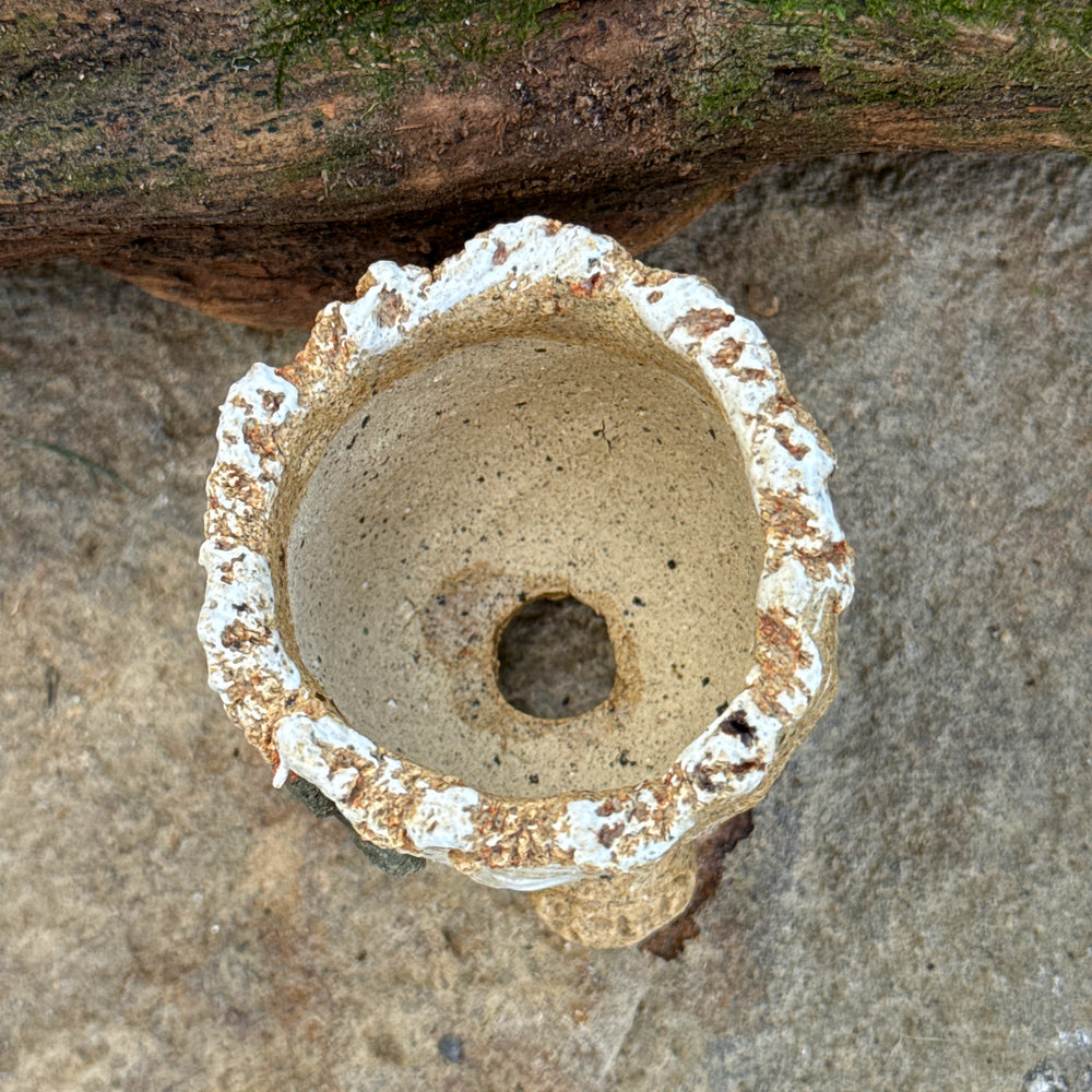 Jurian Handcrafted Pot- Mini Cactus