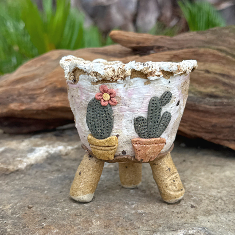 Jurian Handcrafted Pot- Pair of Cacti