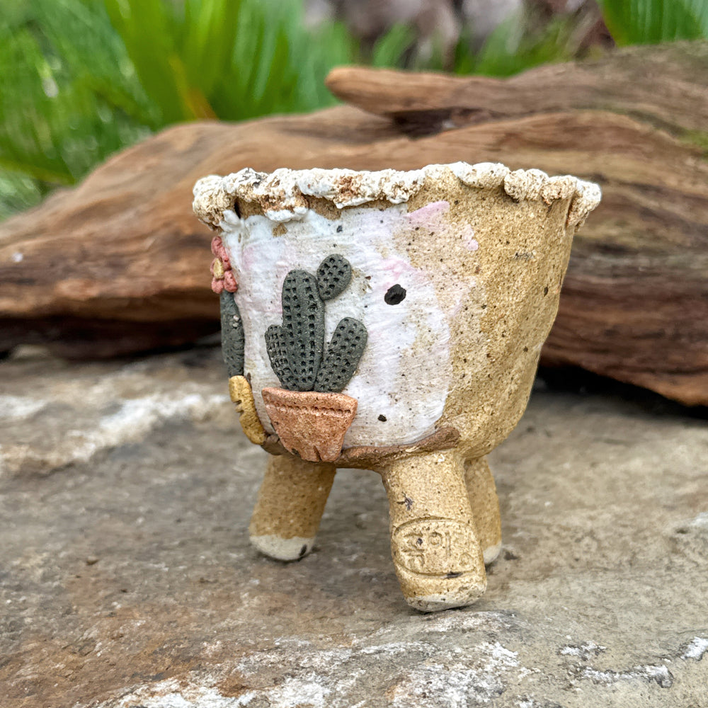 Jurian Handcrafted Pot- Pair of Cacti