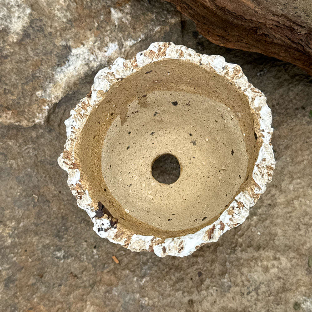 Jurian Handcrafted Pot- Short Flowers