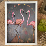 Flamingos and Fish by Eli Halpin