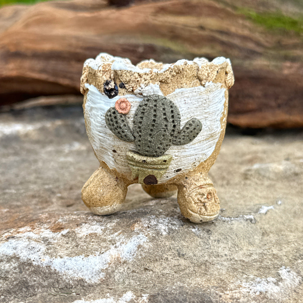 Jurian Handcrafted Pot- Mini Cactus