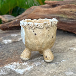 Jurian Handcrafted Pot- Classic Cactus