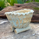 Jurian Handcrafted Pot- Neutral Cacti