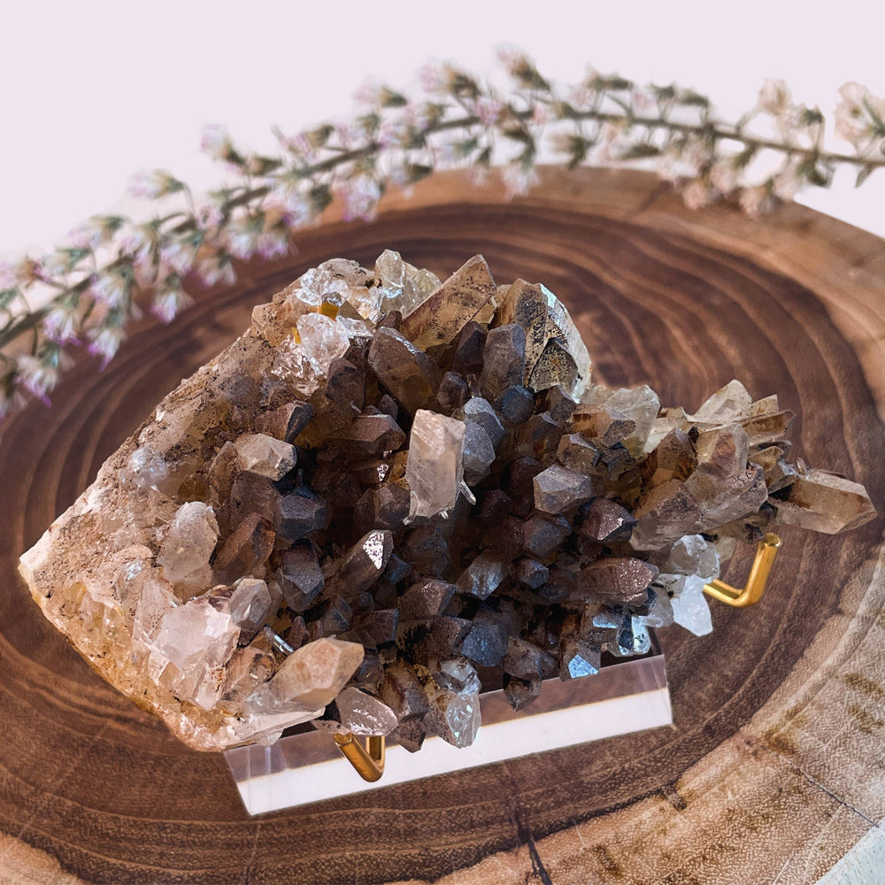 Smoky Quartz (from Bulgaria)