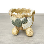 Jurian Mini Pot Cactus, One of a Kind