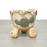 Jurian Mini Pot Cactus, One of a Kind