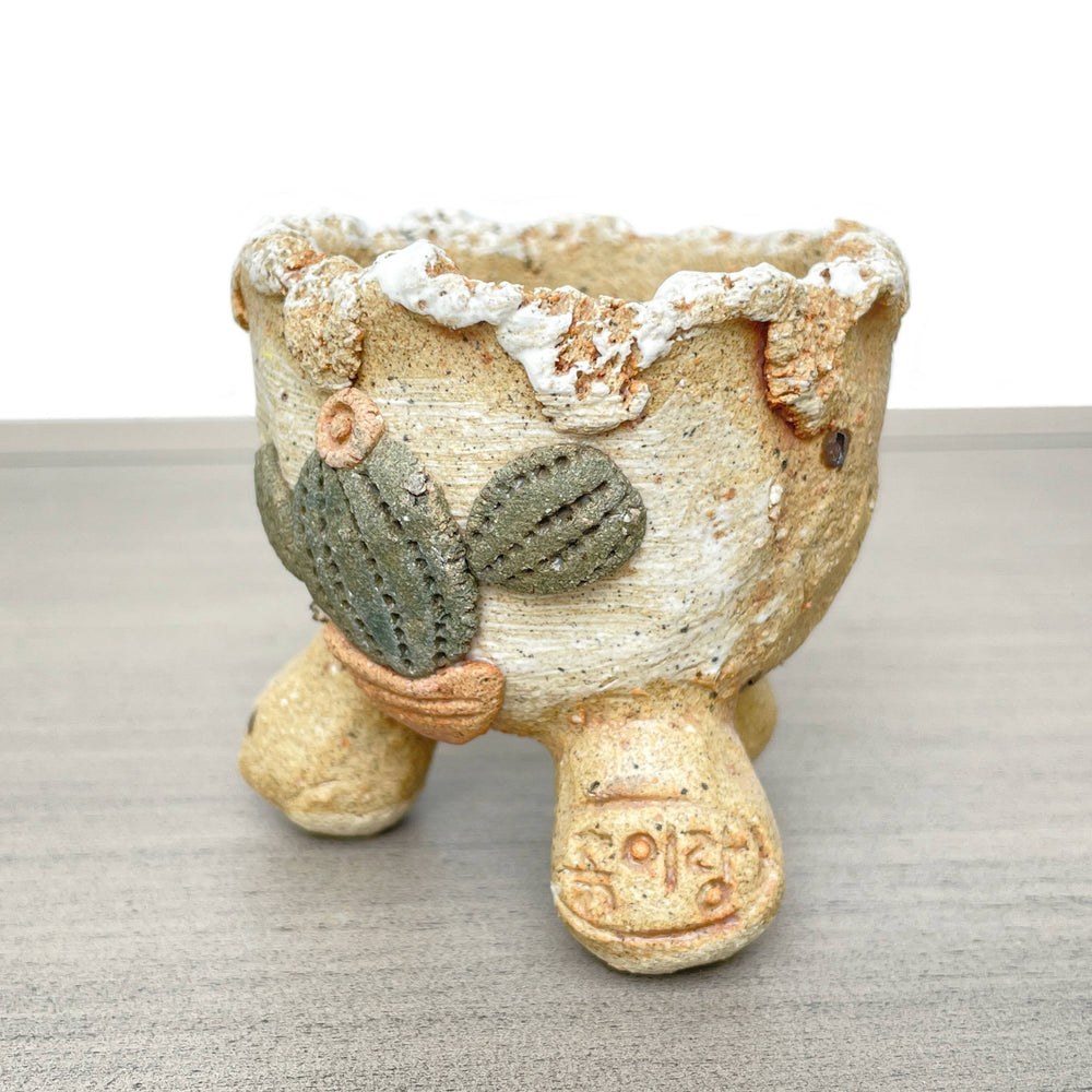 Jurian Mini Pot Cactus, One of a Kind