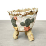 Jurian Medium Pot Cactus, One of a Kind
