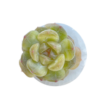 SPECIAL! JUST CART!! Echeveria Esmeralda Jelly