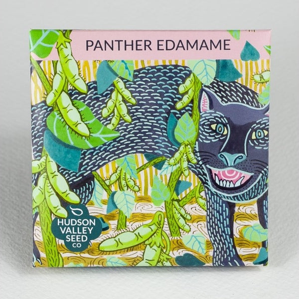 Panther Edamame Soybean Seed Pack