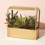 JUST CART #24- Brass Miniature Indoor Smart Greenhouse
