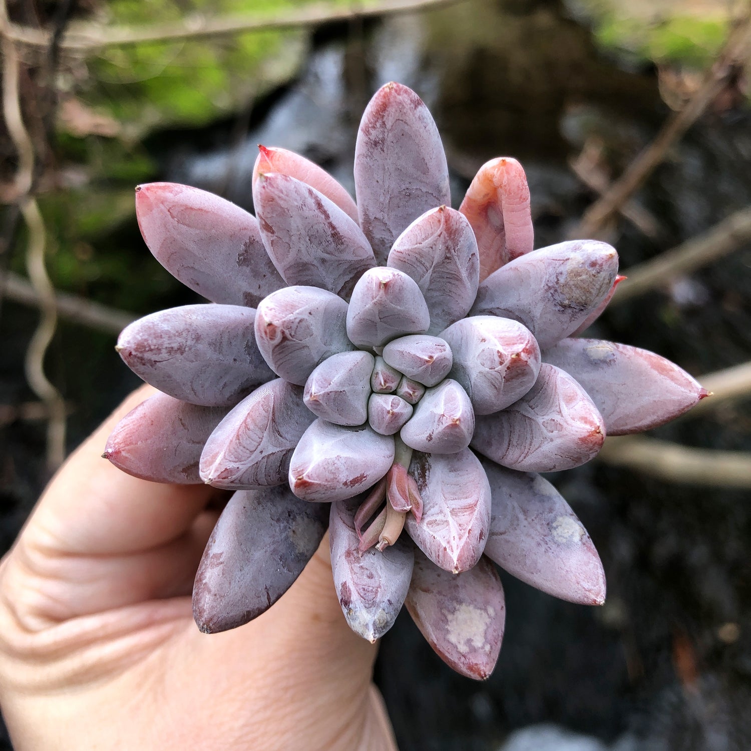 74D10447-B4A3-4C5B-BD40-