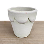Anise Orleans Herb Pot- Grey Moss