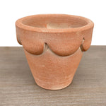 Anise Orleans Herb Pot- Natural