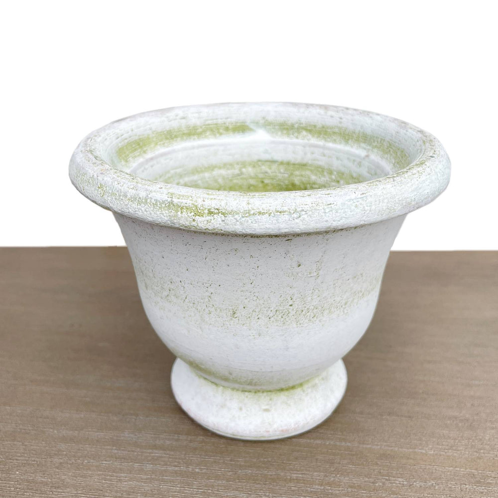Anise Potier Herb Pot- Verde White