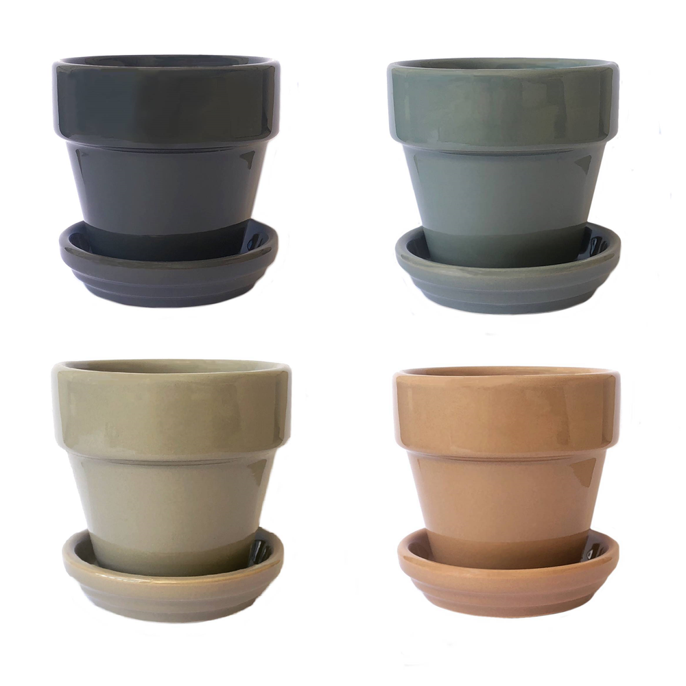 cedar creek farmhouse succulents SPECIAL! JUST CART! CEDAR CREEK FARMHOUSE Succulent Soil – Cedar Creek Farmhouse