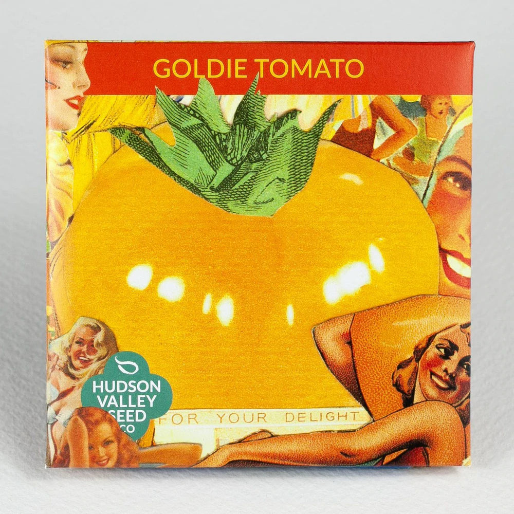 Goldie Tomato Seed Pack