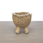 Handcrafted Succulent Planter (by Jurian)