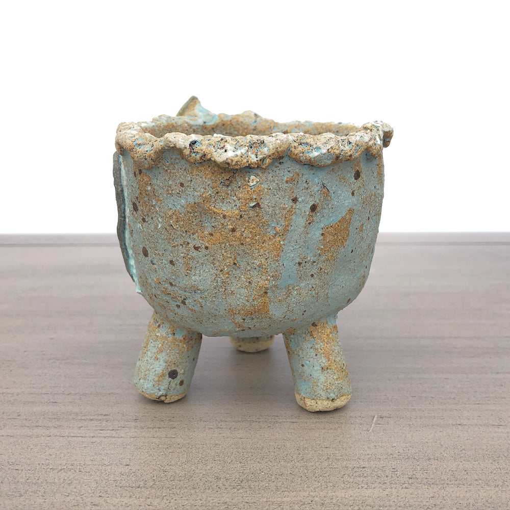 Handcrafted Succulent Planter (by Jurian)